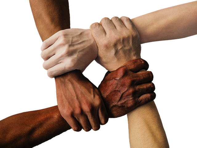 image of hands from different cultures